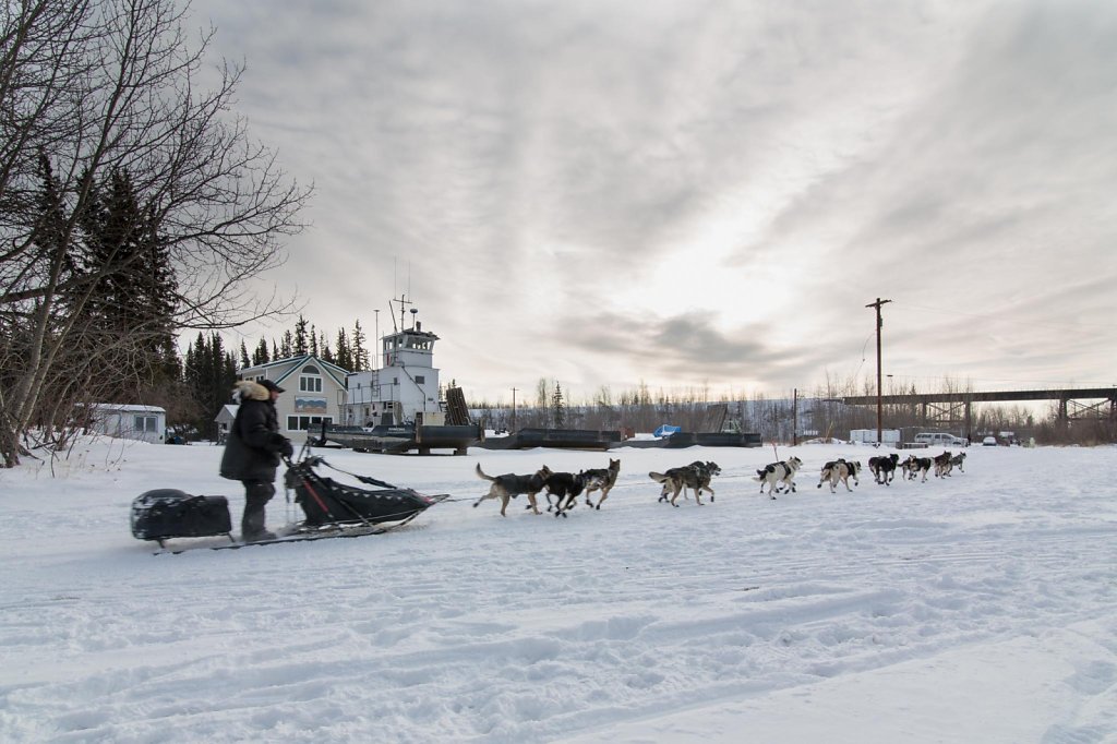 Nenana019.jpg