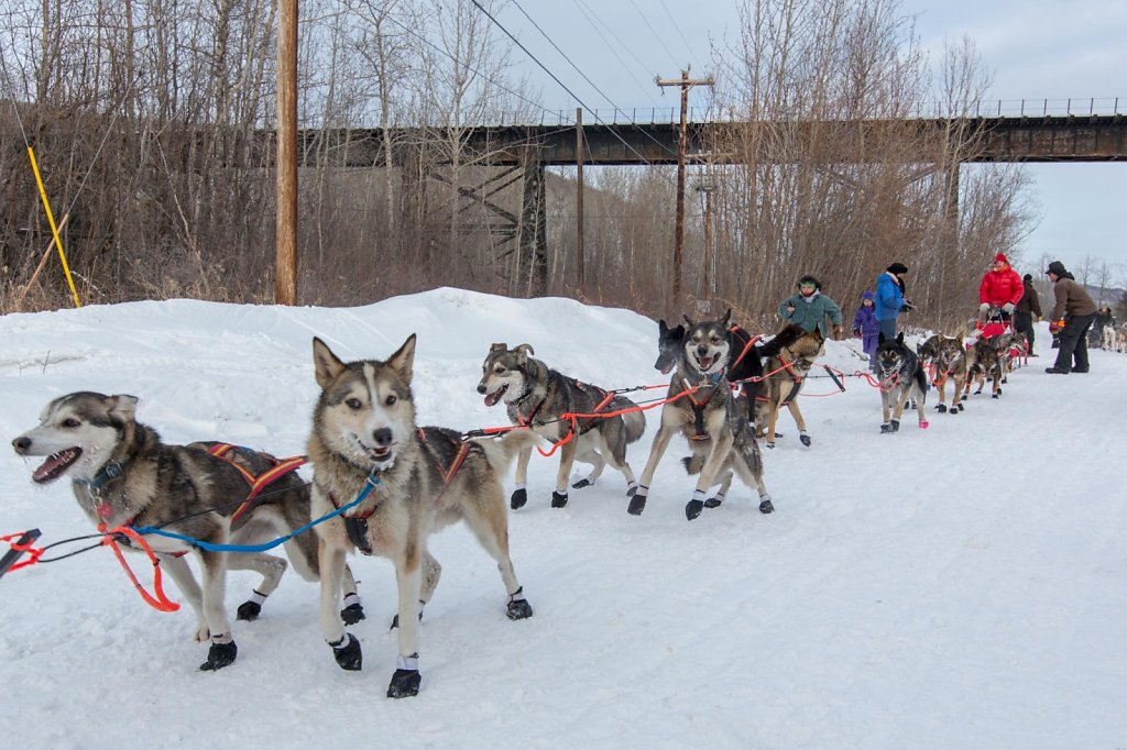 Nenana021.jpg