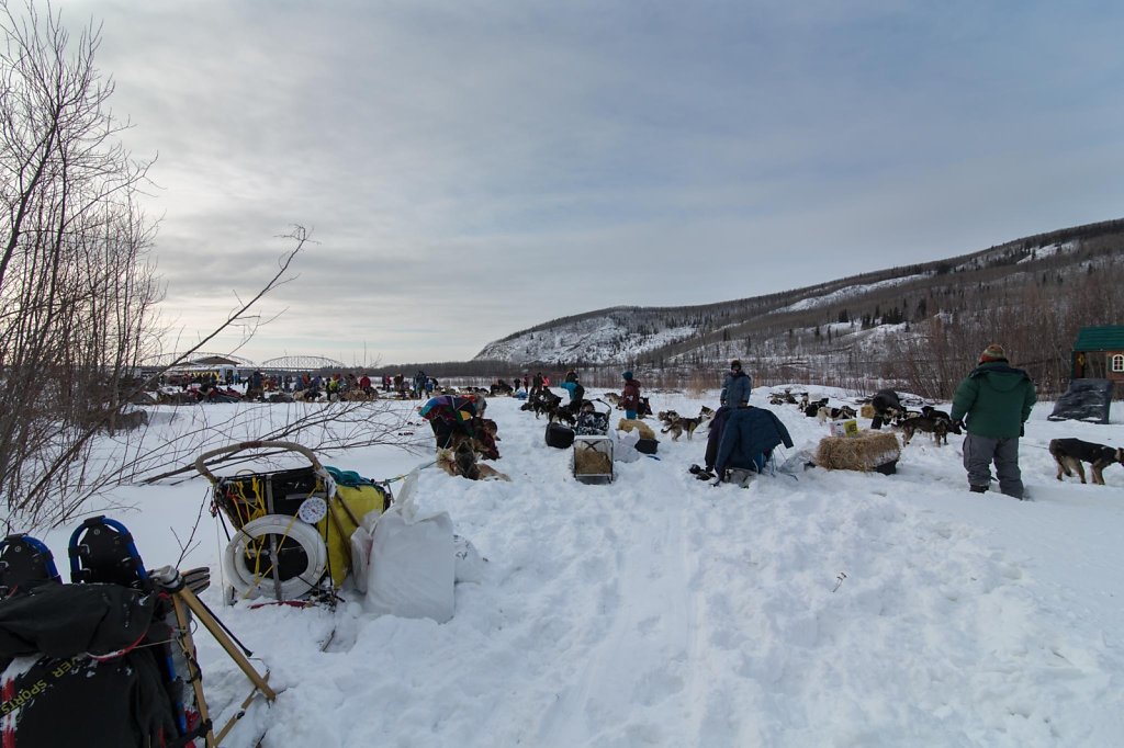 Nenana026.jpg