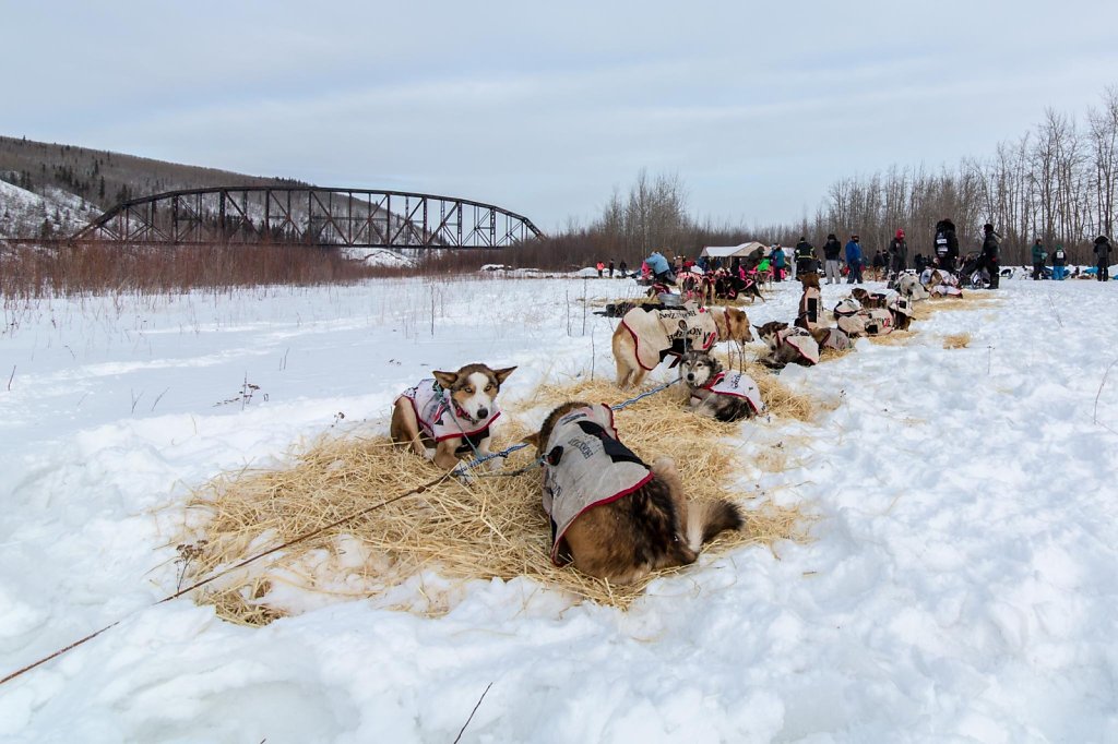 Nenana027.jpg