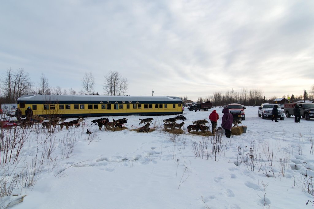 Nenana028.jpg