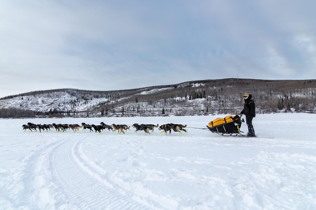 Nenana029.jpg